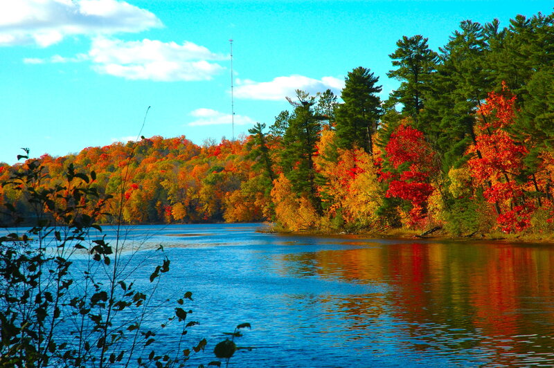Autumn lake with colorful trees