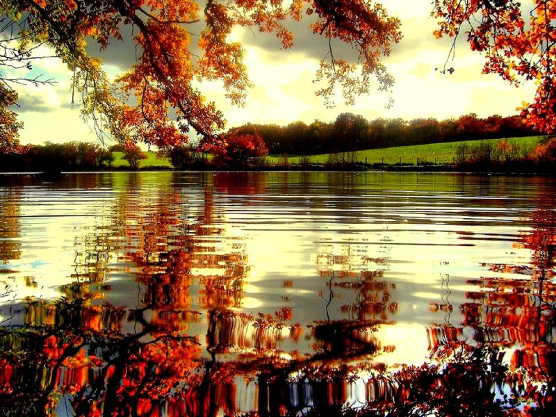 Autumn lake with colorful trees
