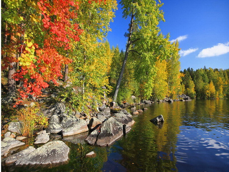 Autumn lake with colorful trees