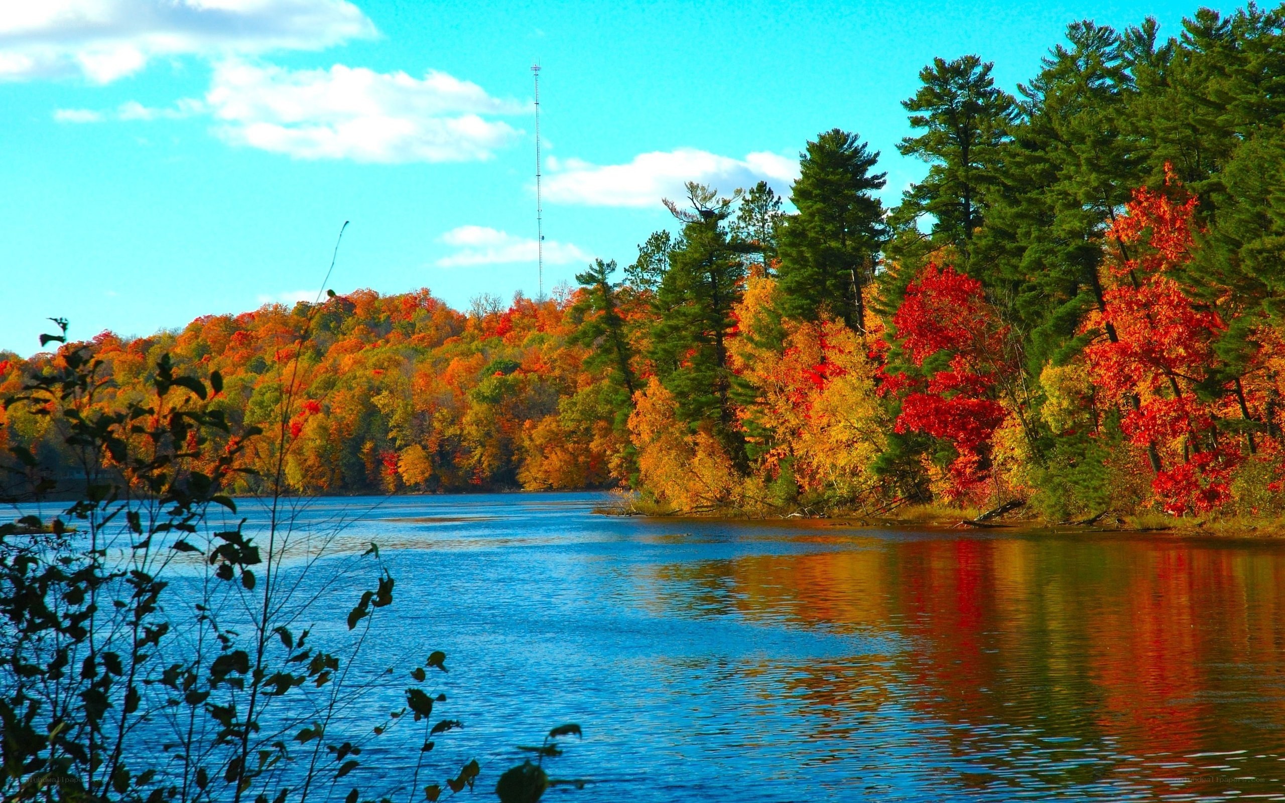 Autumn lake with colorful trees