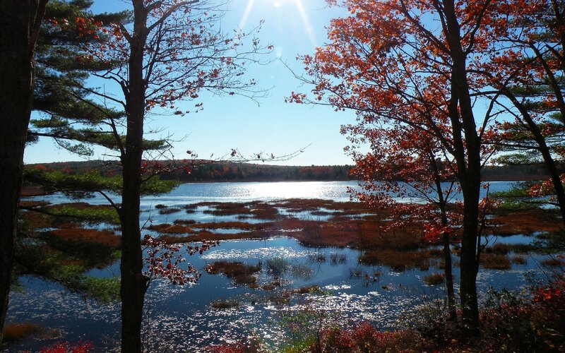 Autumn lake with colorful trees