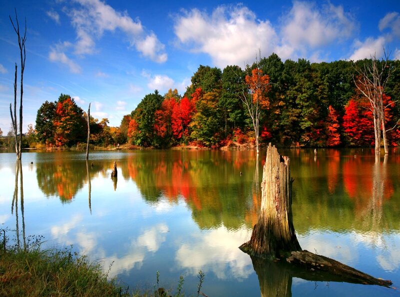Autumn lake with colorful trees