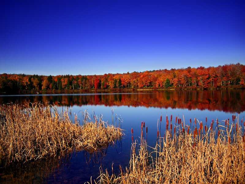 Autumn lake with colorful trees