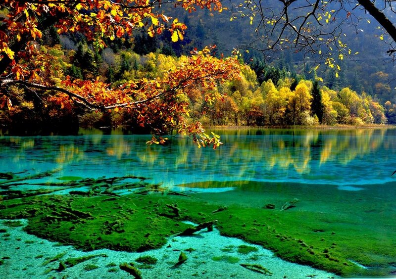 Autumn Lake with Colorful Trees — Blue