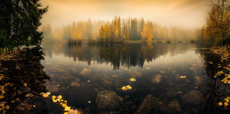 Autumn Lake with Fog — Yellow