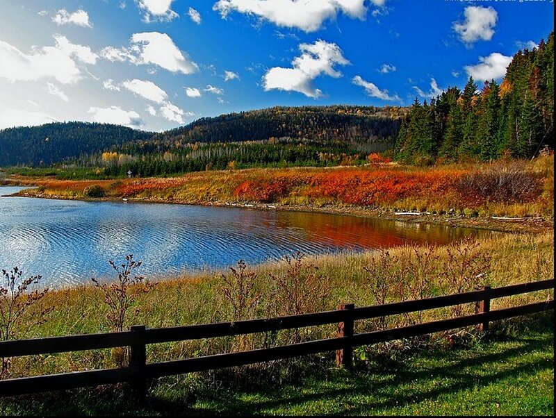 Autumn lake with forest backdrop