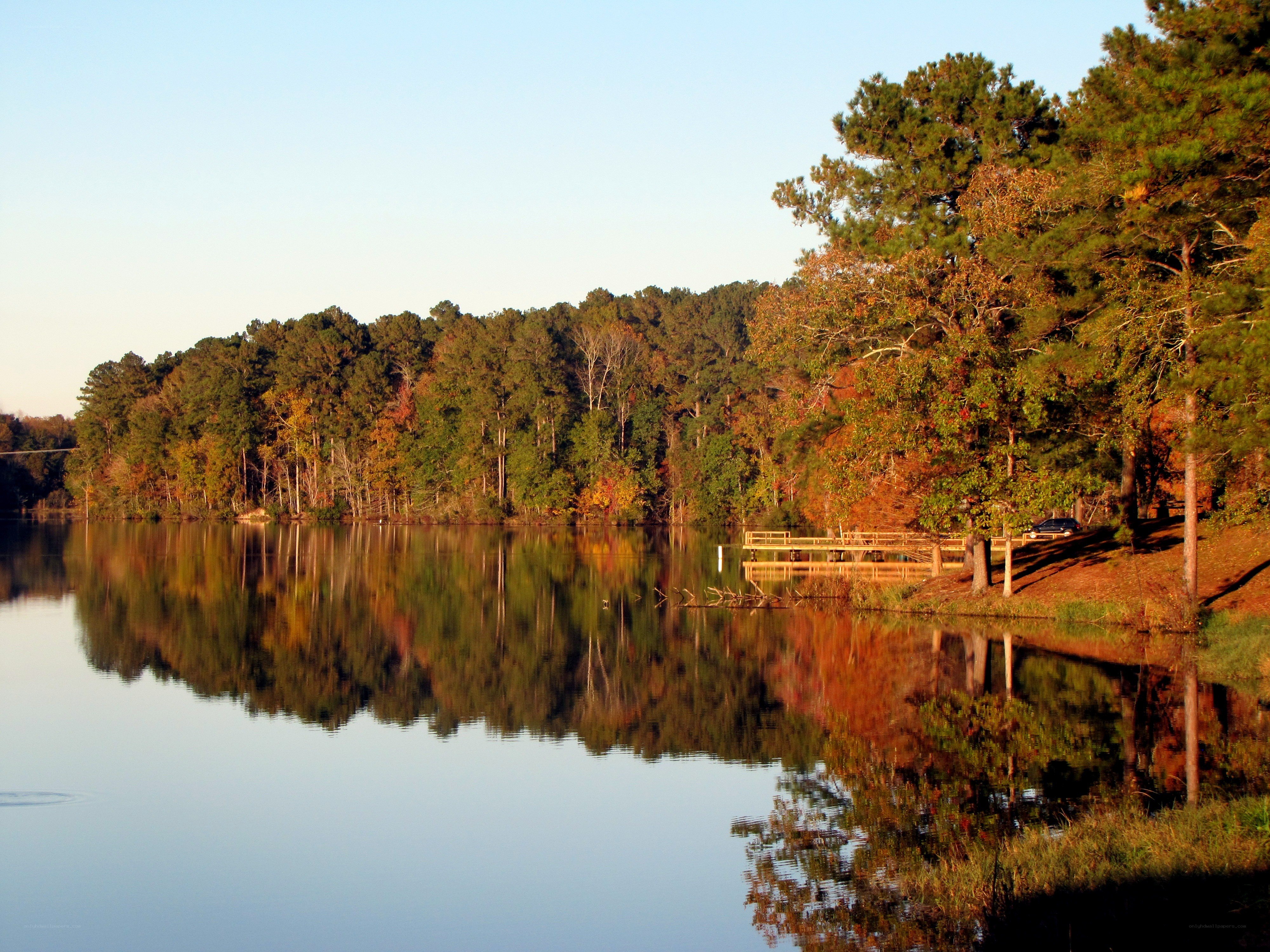 Autumn lake with forest reflection