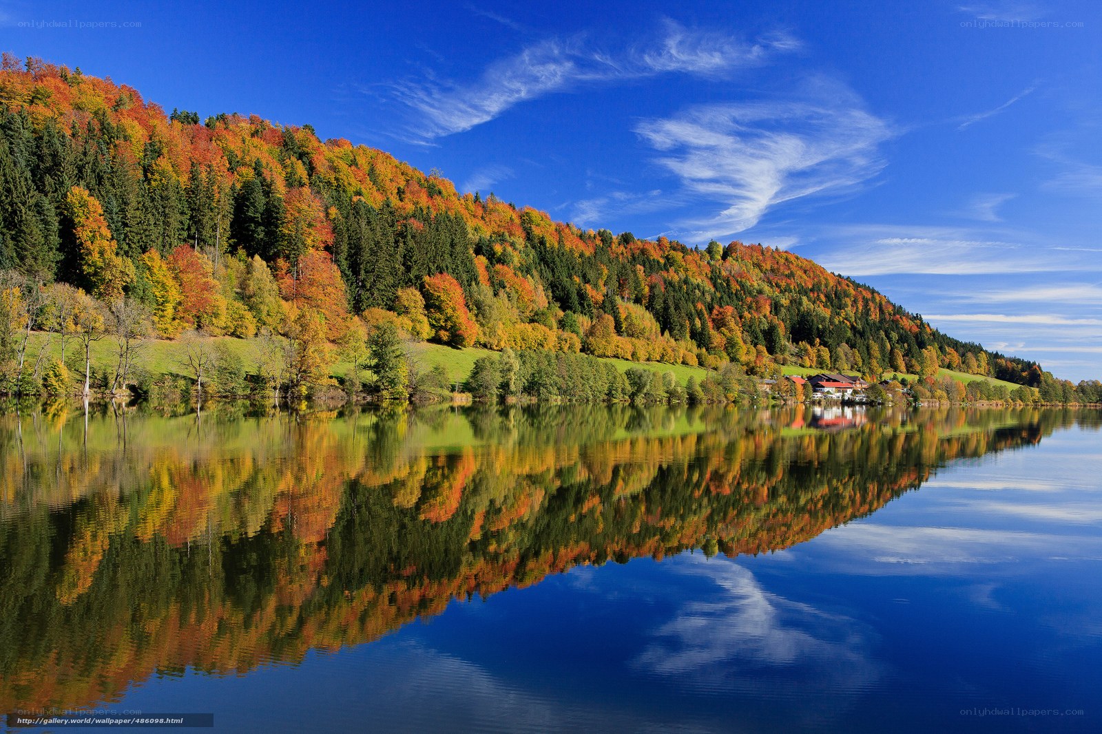 Autumn lake with forest reflection