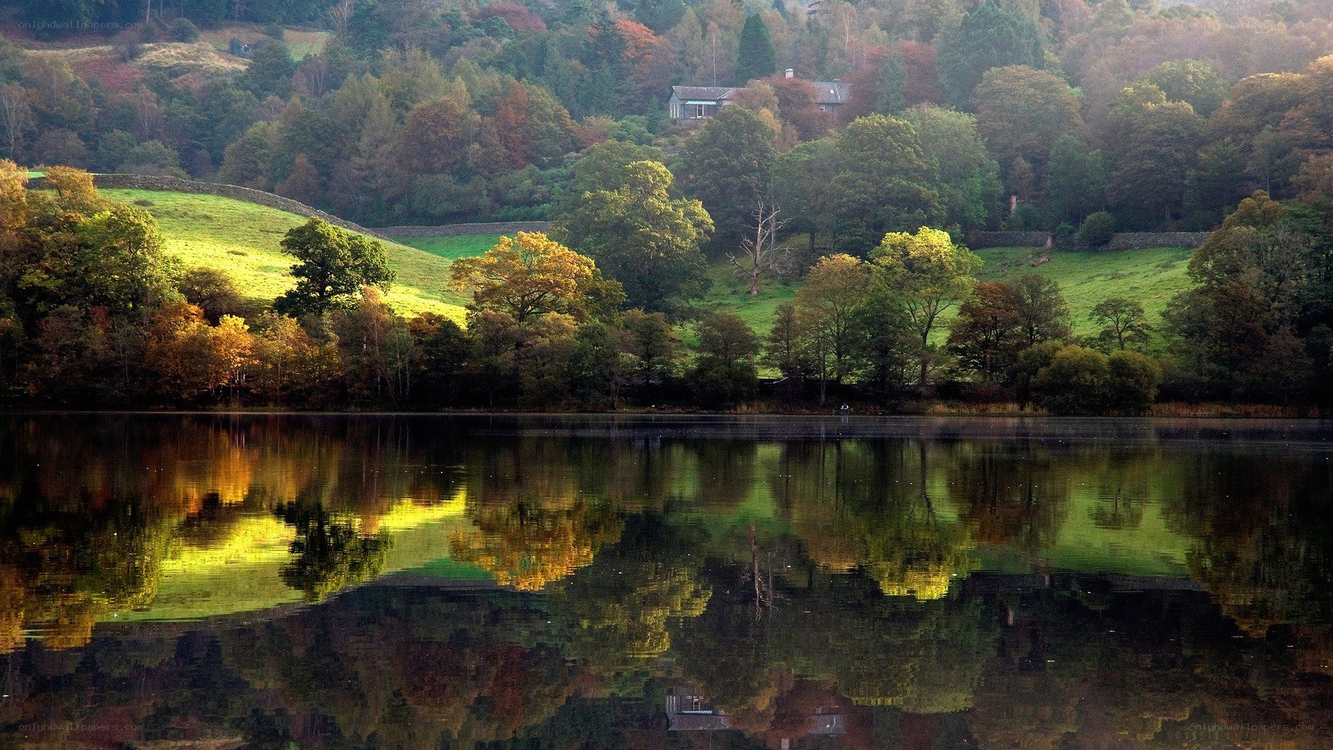 Autumn lake with forest reflection