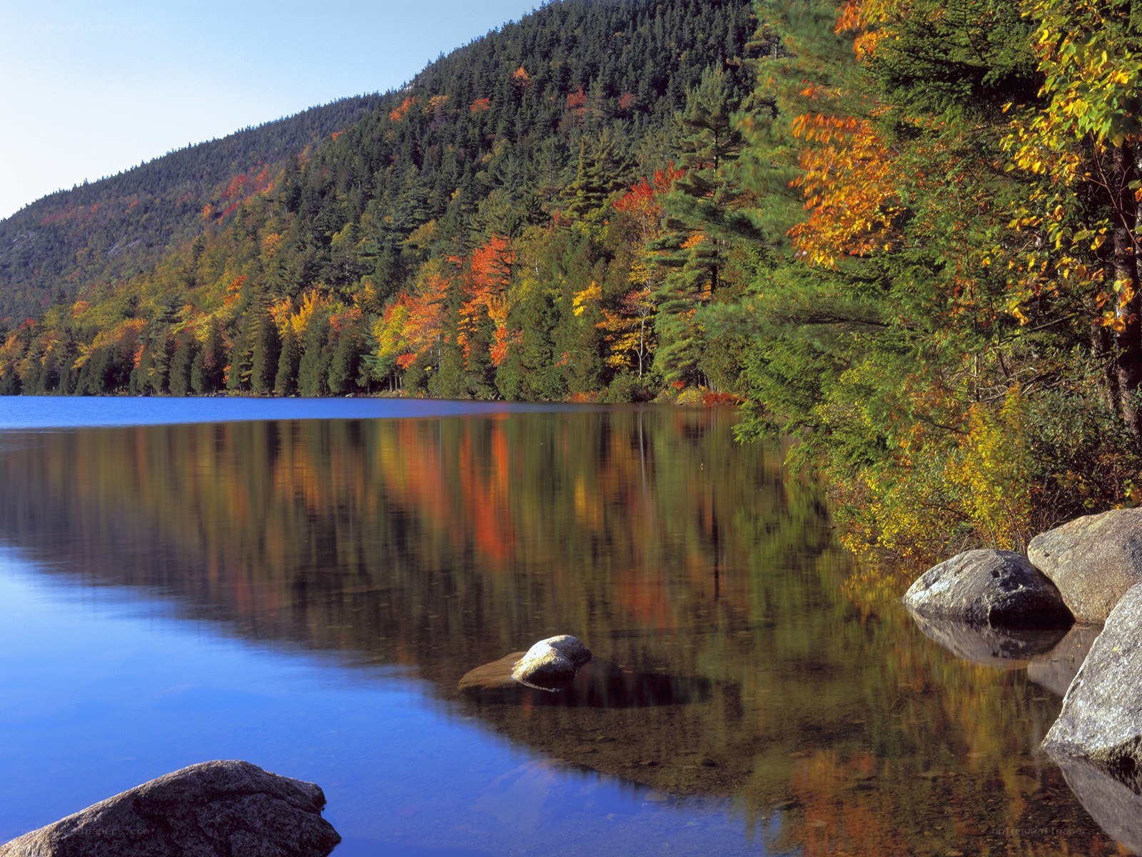 Autumn lake with forest reflection