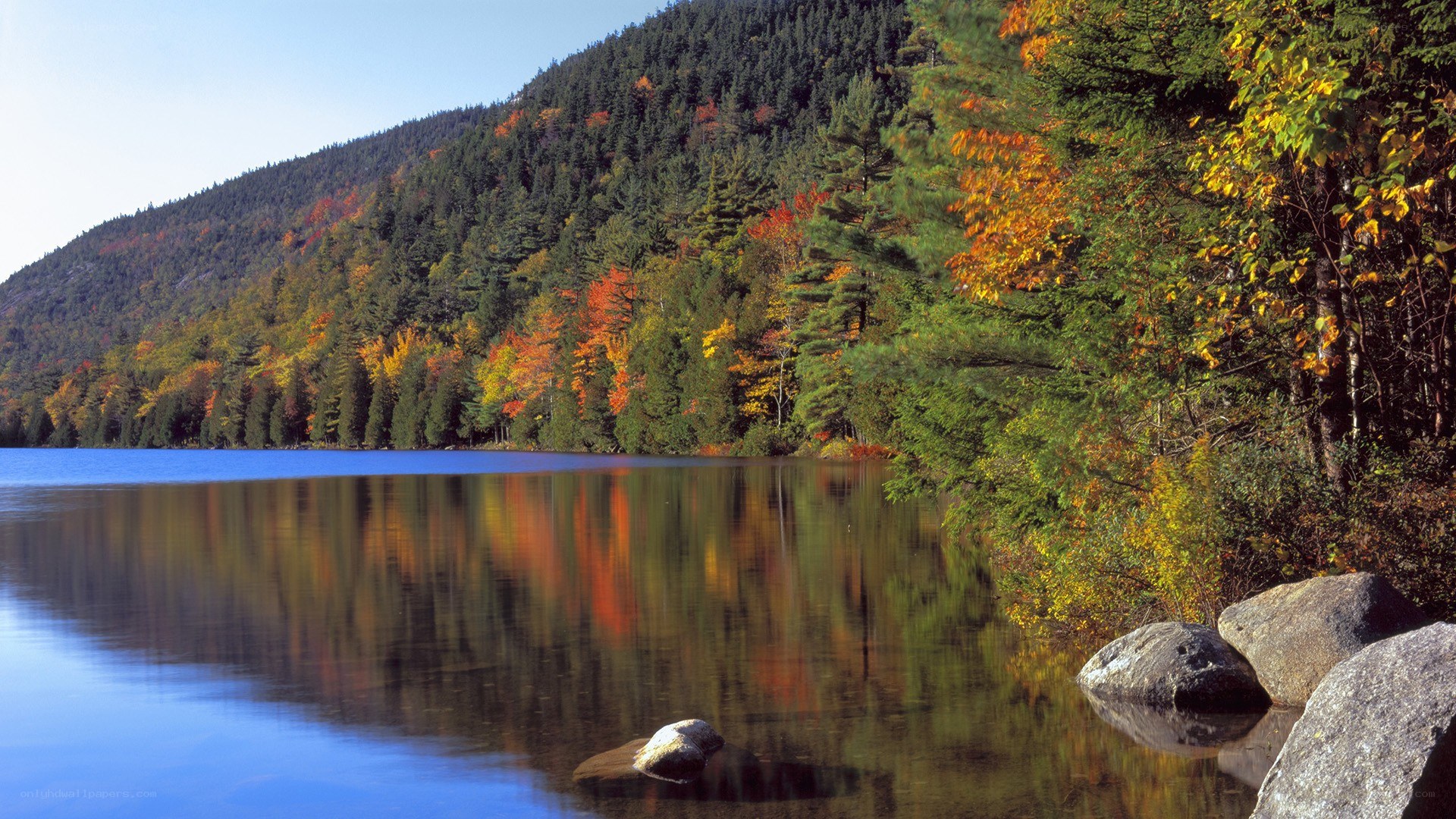 Autumn lake with forest reflection