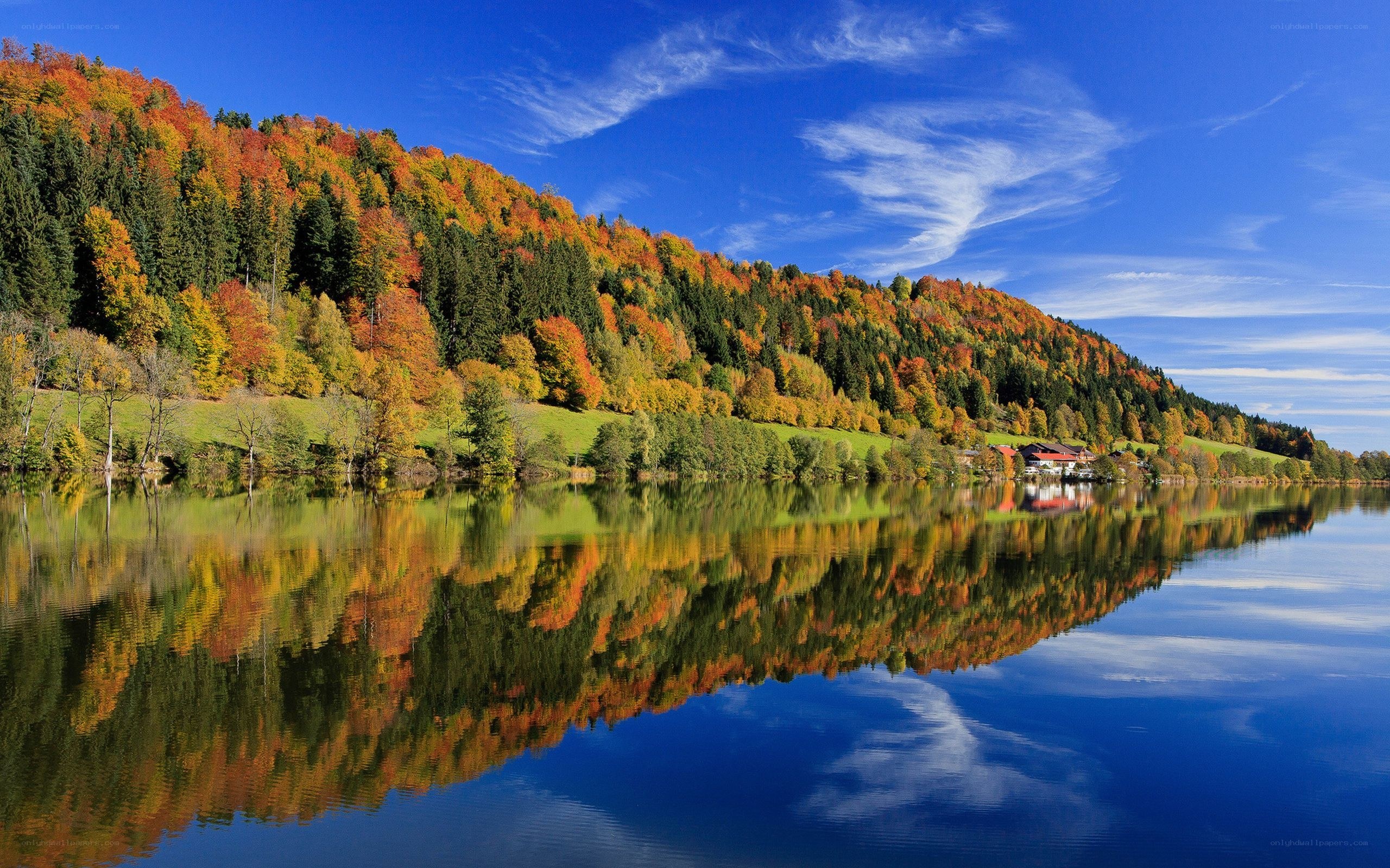 Autumn lake with forest reflection