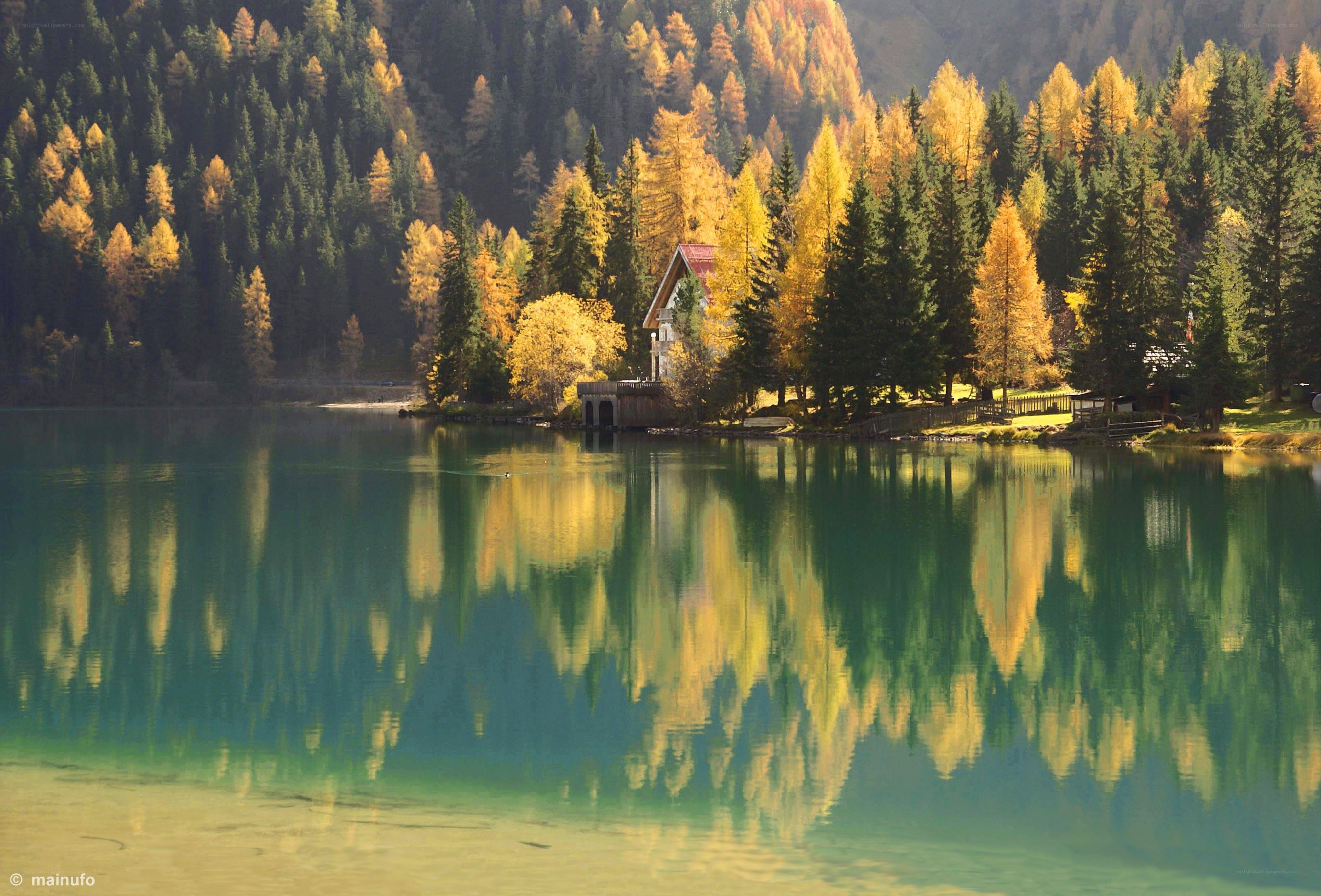 Autumn lake with forest reflection