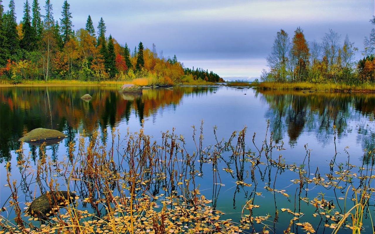 Autumn lake with forest reflection