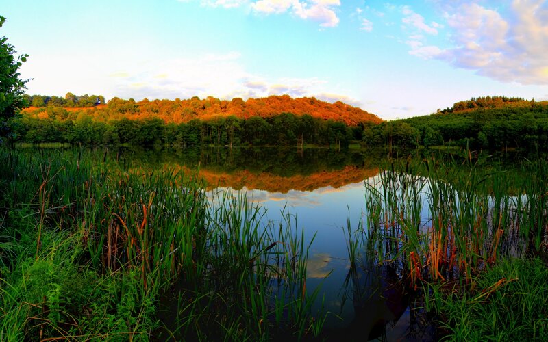 Autumn lake with forest reflection