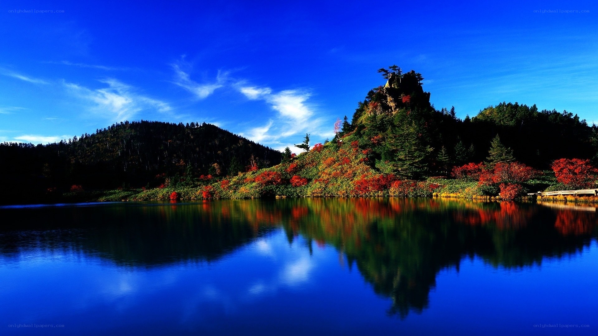 Autumn lake with forest reflection