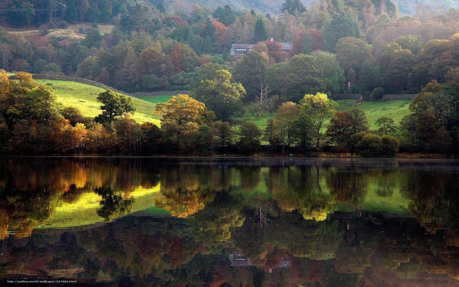 Autumn lake with forest reflection