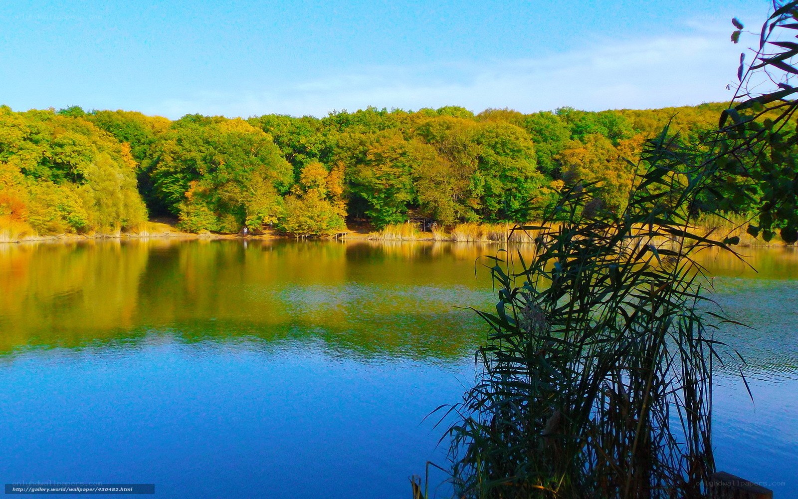 Autumn lake with forest reflection