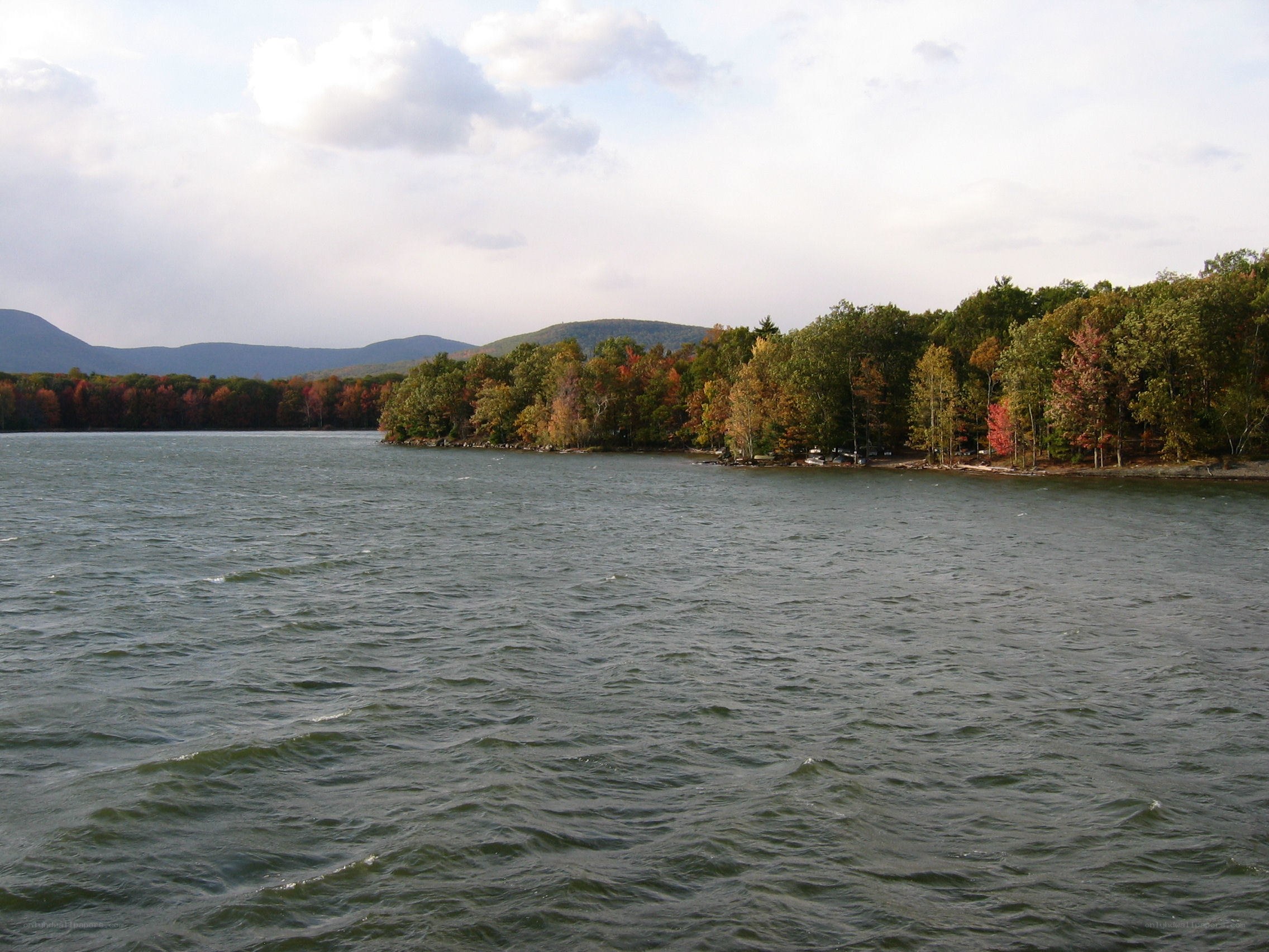 Autumn lake with forested shore