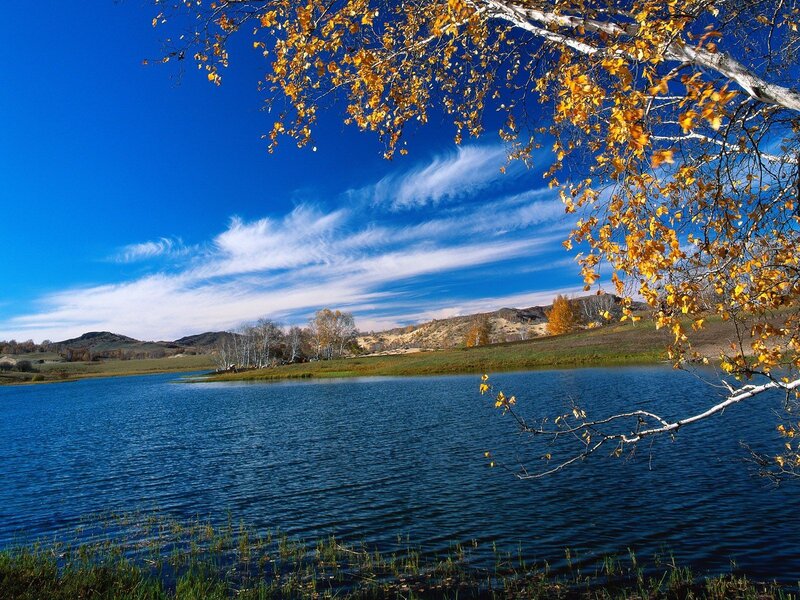 Autumn lake with golden trees