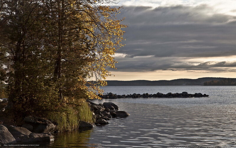 Autumn lake with golden trees
