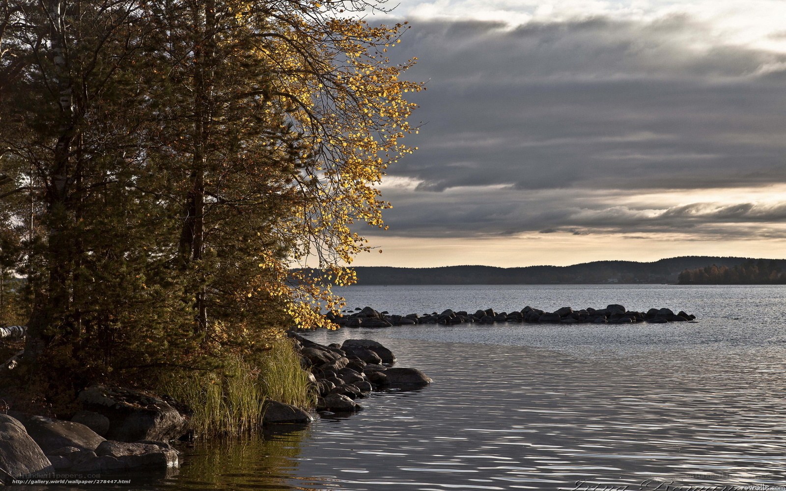 Autumn lake with golden trees