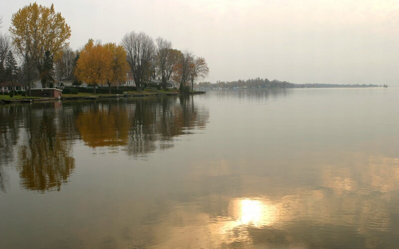 Autumn lake with golden trees