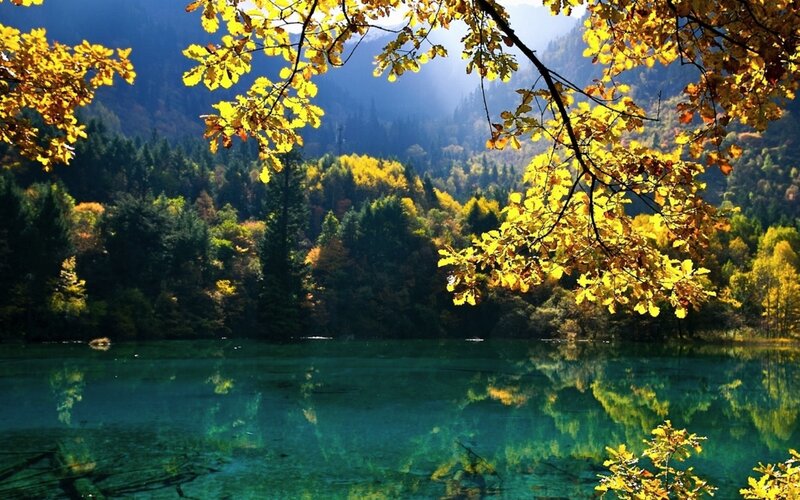 Autumn lake with golden trees