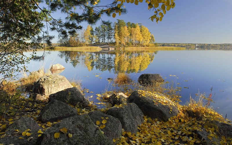 Autumn lake with golden trees