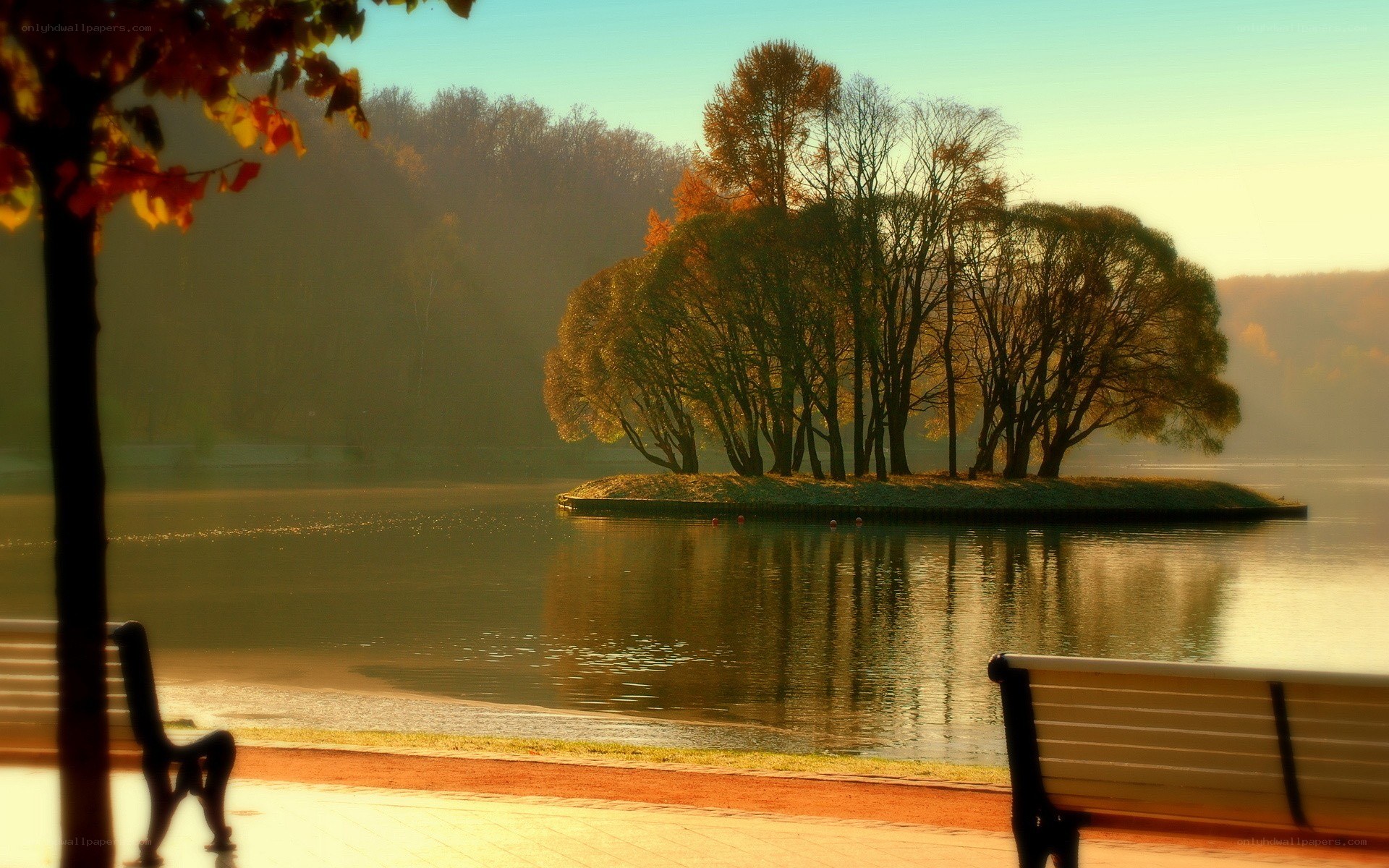 Autumn lake with island