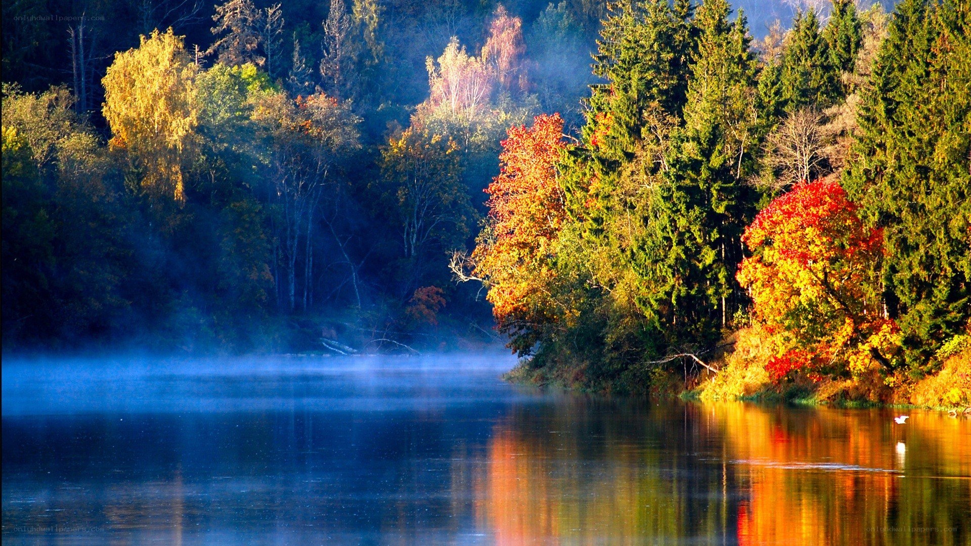 Autumn lake with misty forest