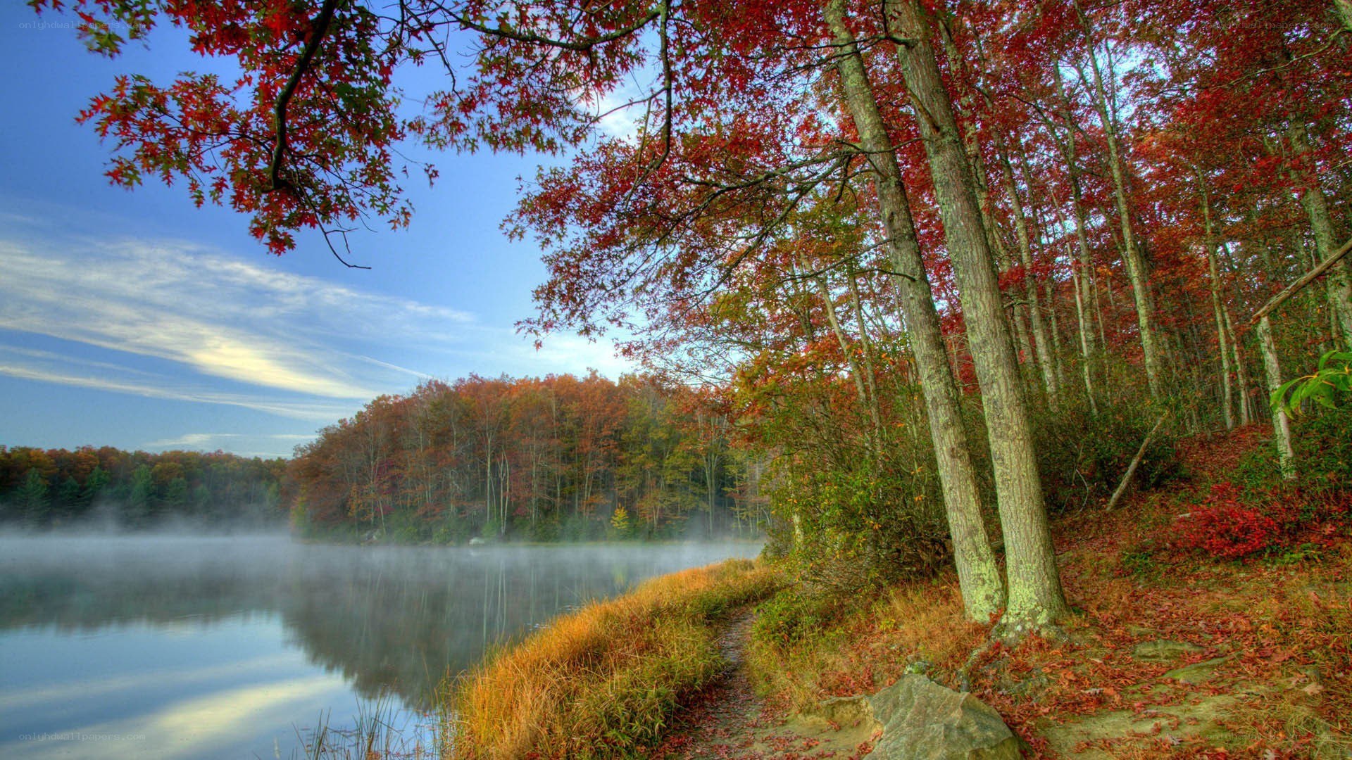 Autumn lake with misty forest