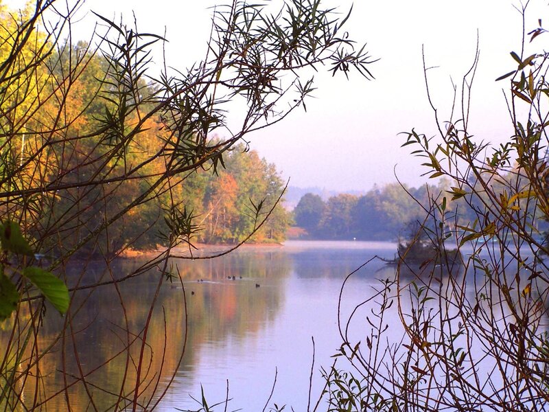 Autumn lake with misty view
