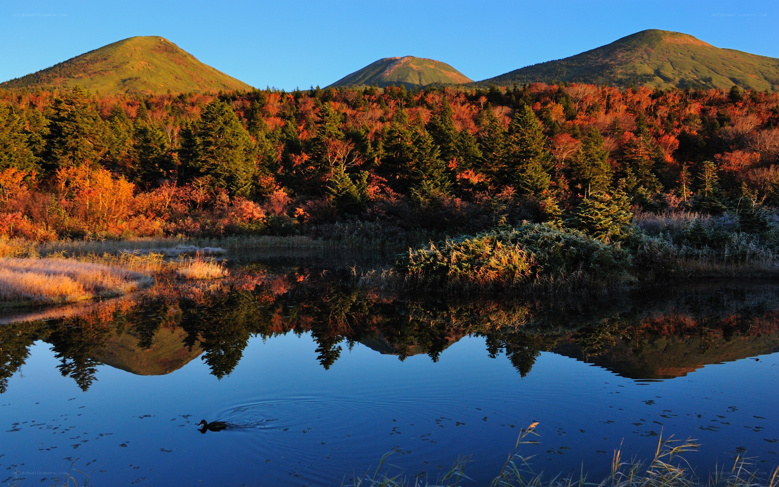 Autumn lake with mountain reflection