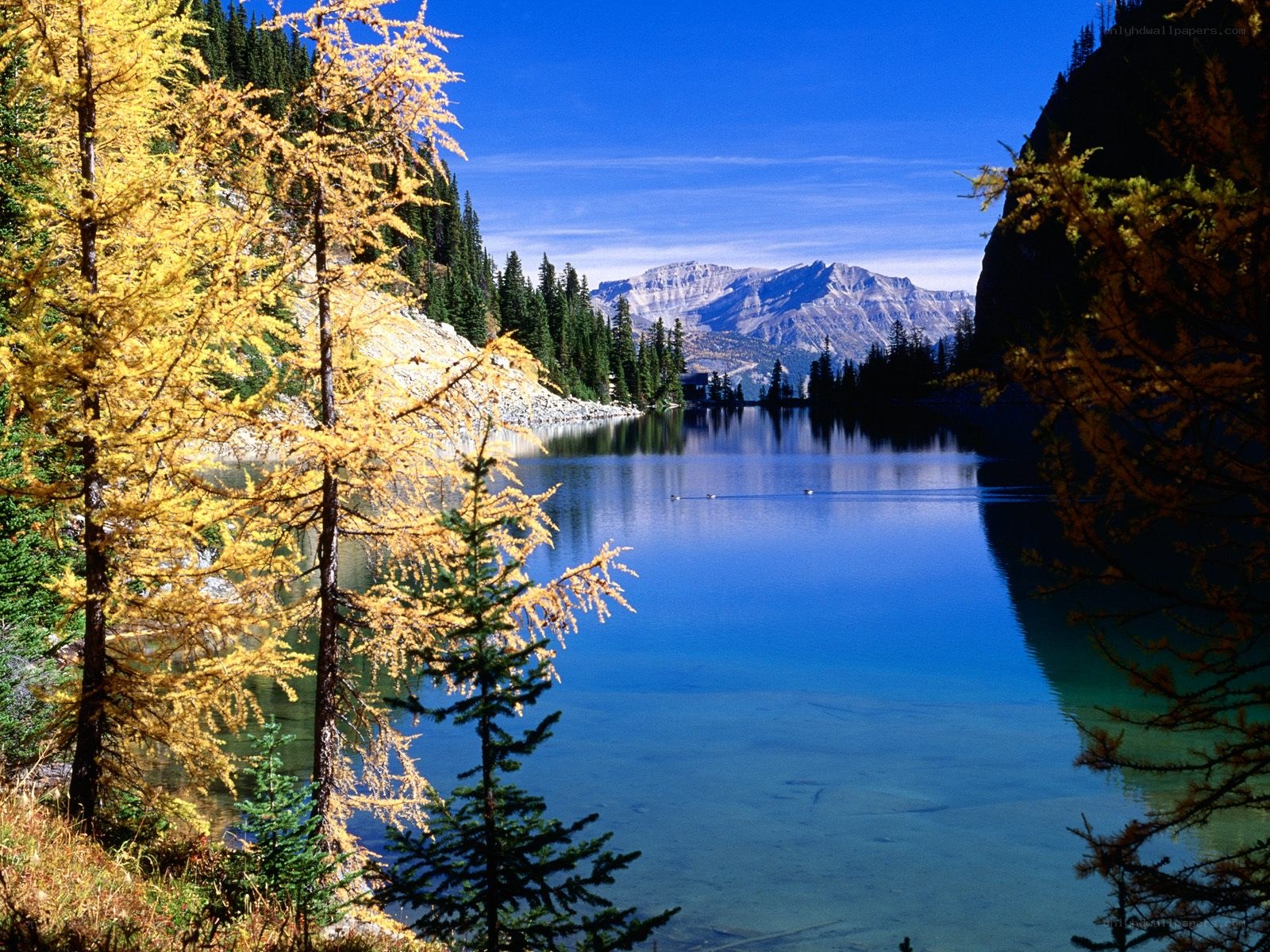 Autumn lake with mountain view