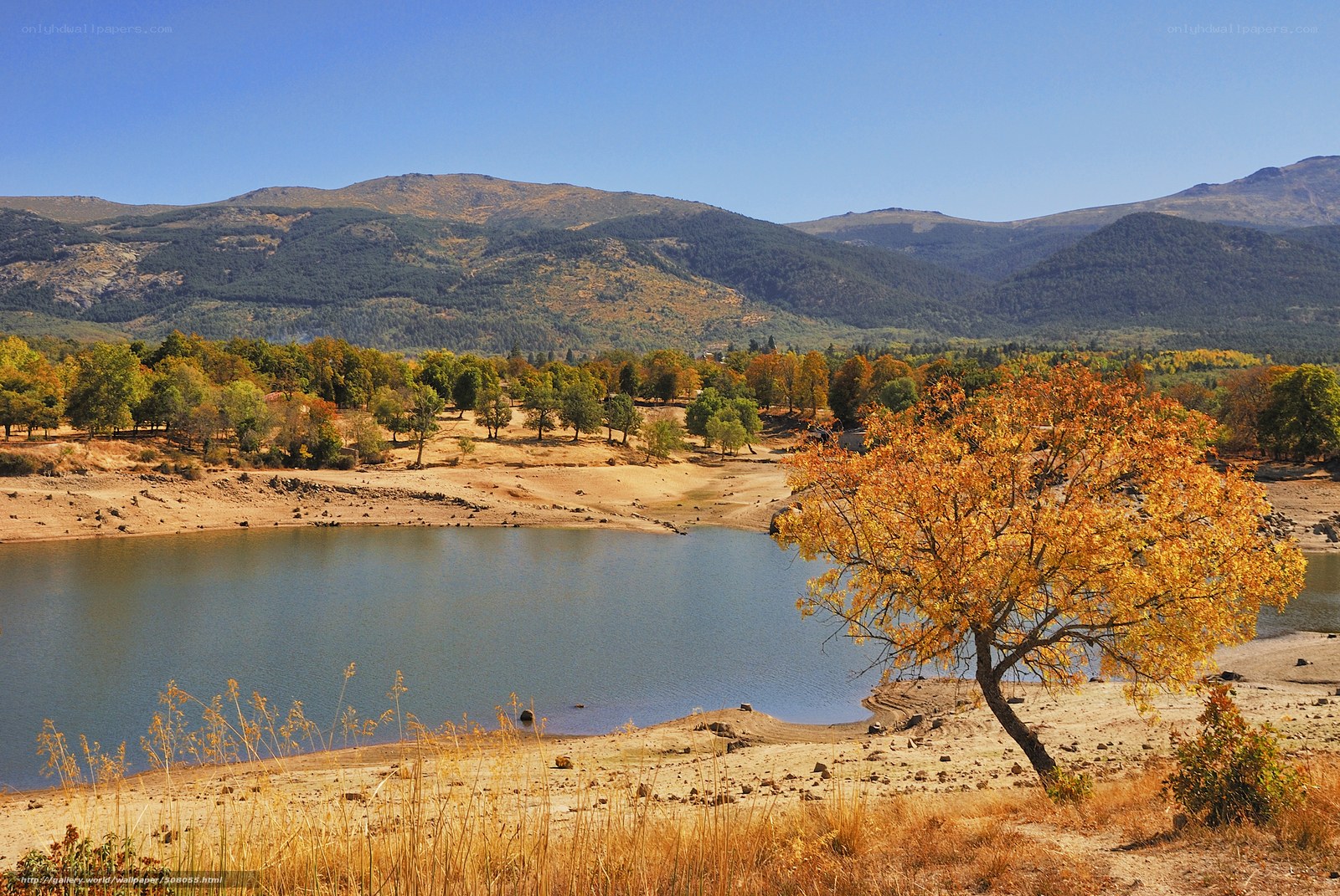 Autumn lake with mountains