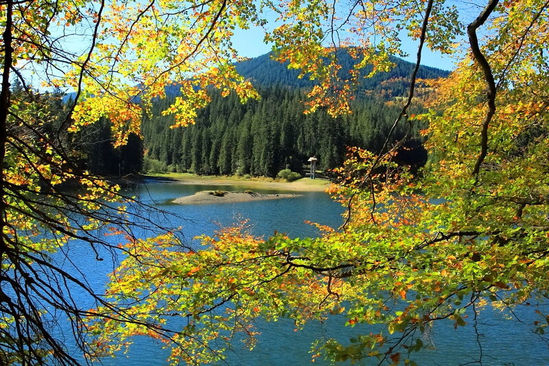 Autumn Lake with Mountains — Blue, Serene, Photograph, Trees, Mountain
