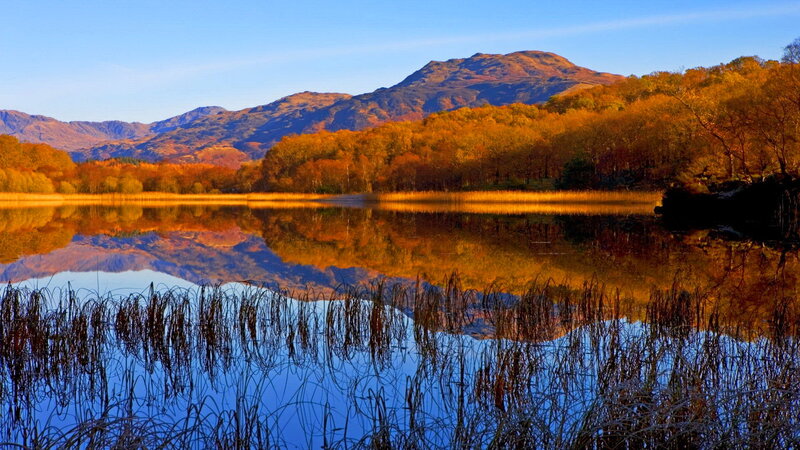 Autumn Lake with Mountains — Blue, Serene, Photograph, Trees, Reeds