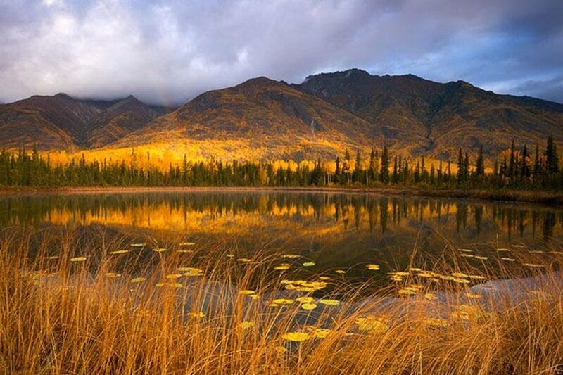 Autumn Lake with Mountains — Yellow