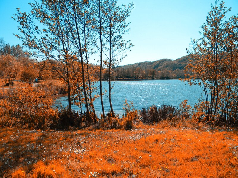 Autumn lake with orange foliage