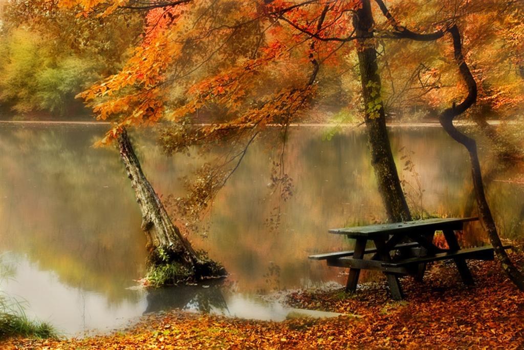 Autumn lake with picnic table