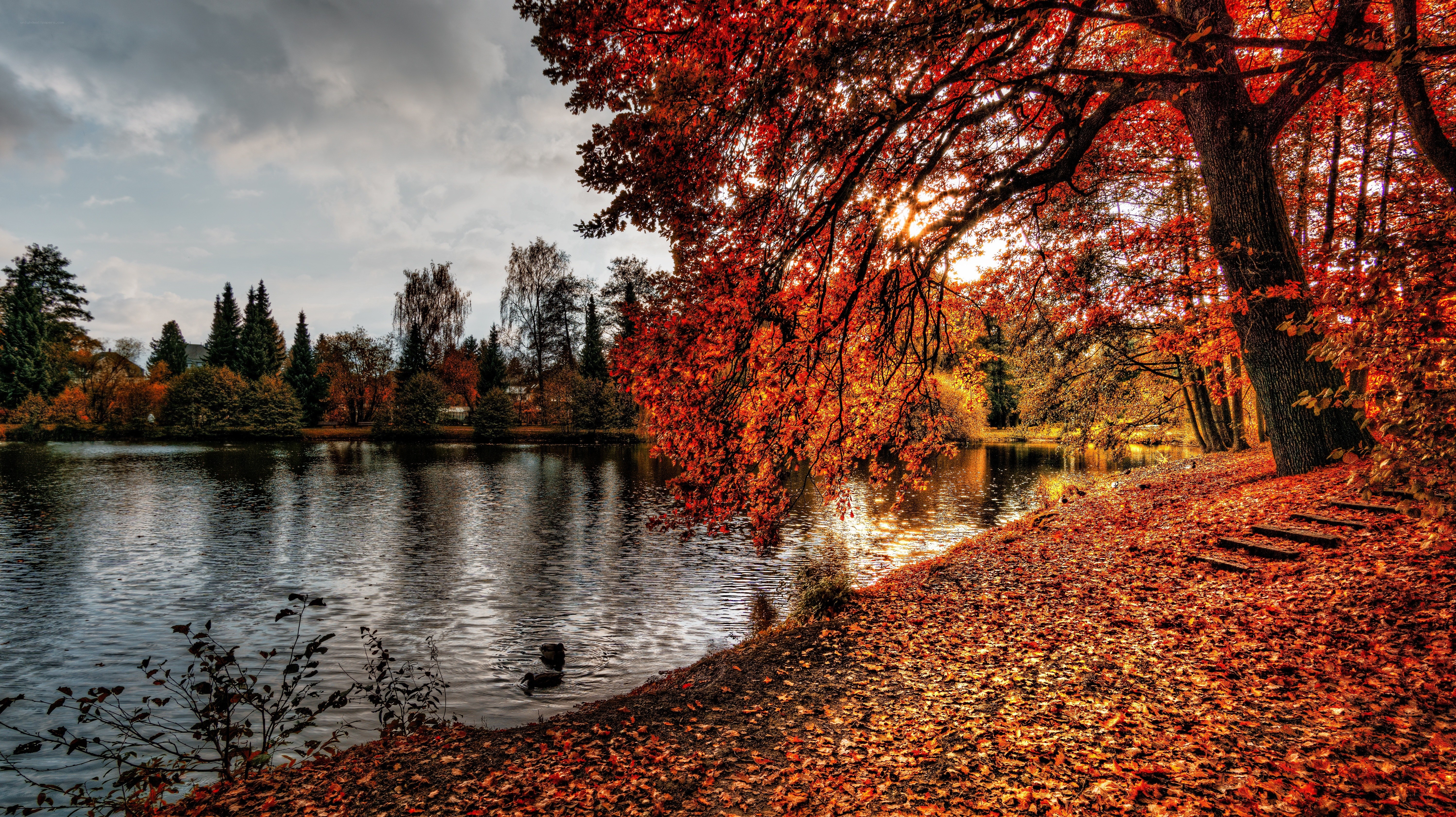 Autumn lake with red leaves