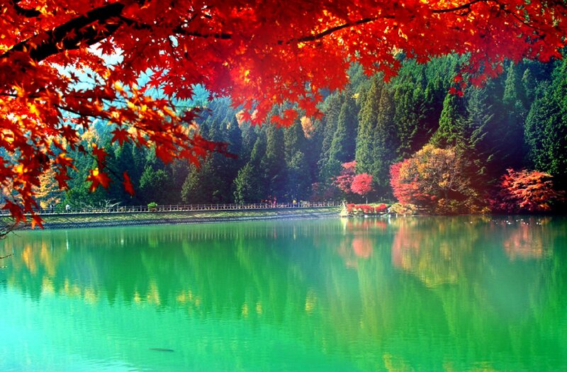 Autumn Lake with Red Leaves — Serene, Photograph, Trees, Bridge
