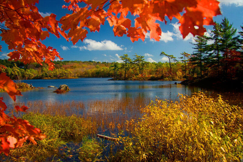 Autumn Lake with Red Leaves — Serene, Photograph, Trees, Sky
