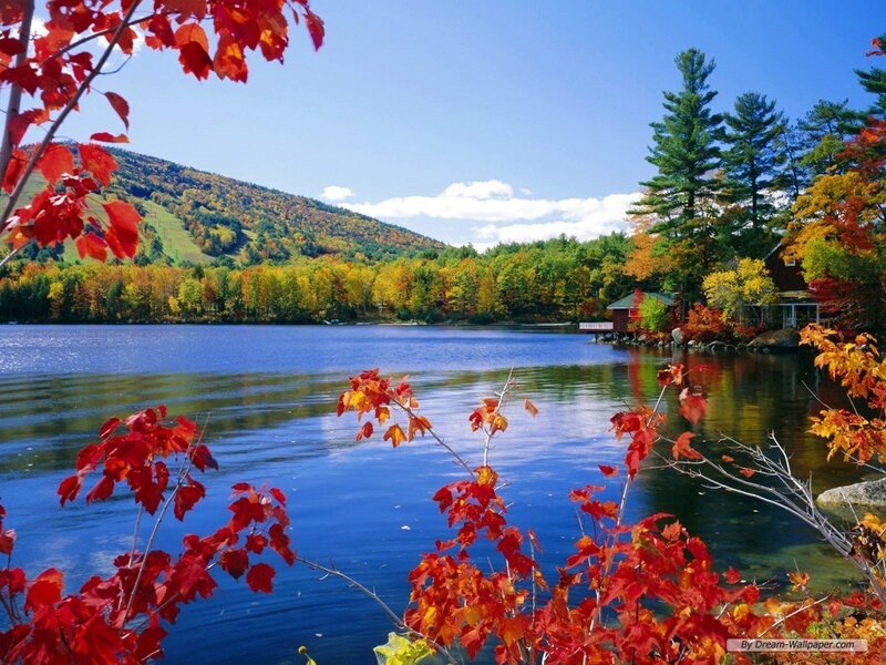 Autumn Lake with Red Leaves — Serene