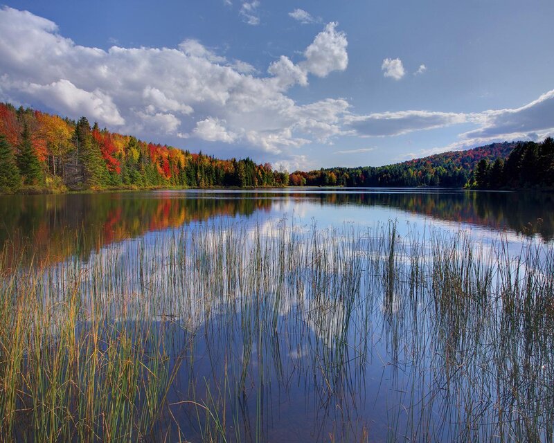 Autumn Lake with Reeds — Blue