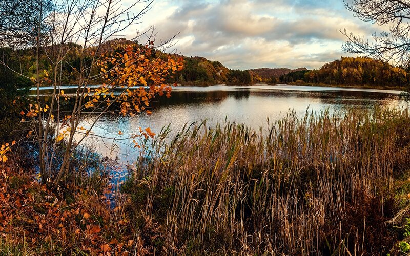 Autumn lake with reeds