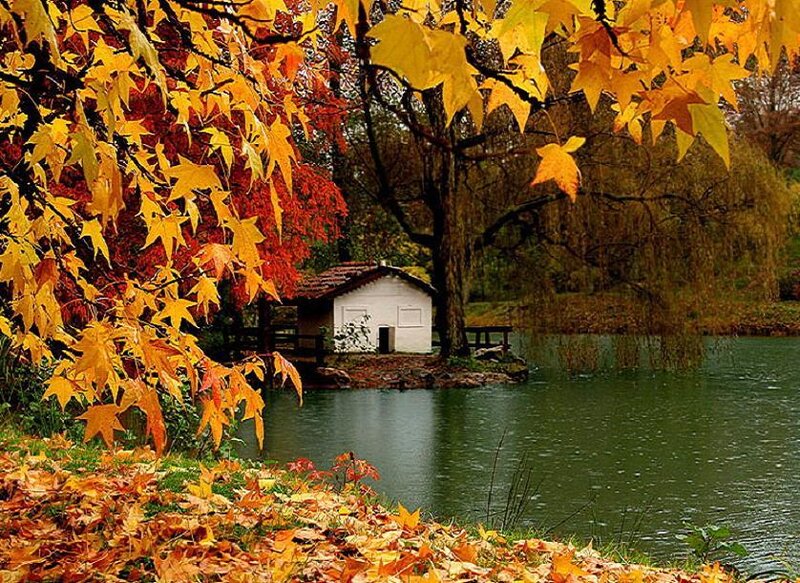 Autumn lake with small house