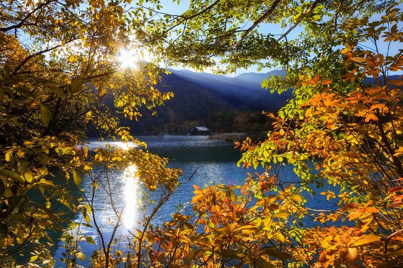 Autumn lake with sunlit trees