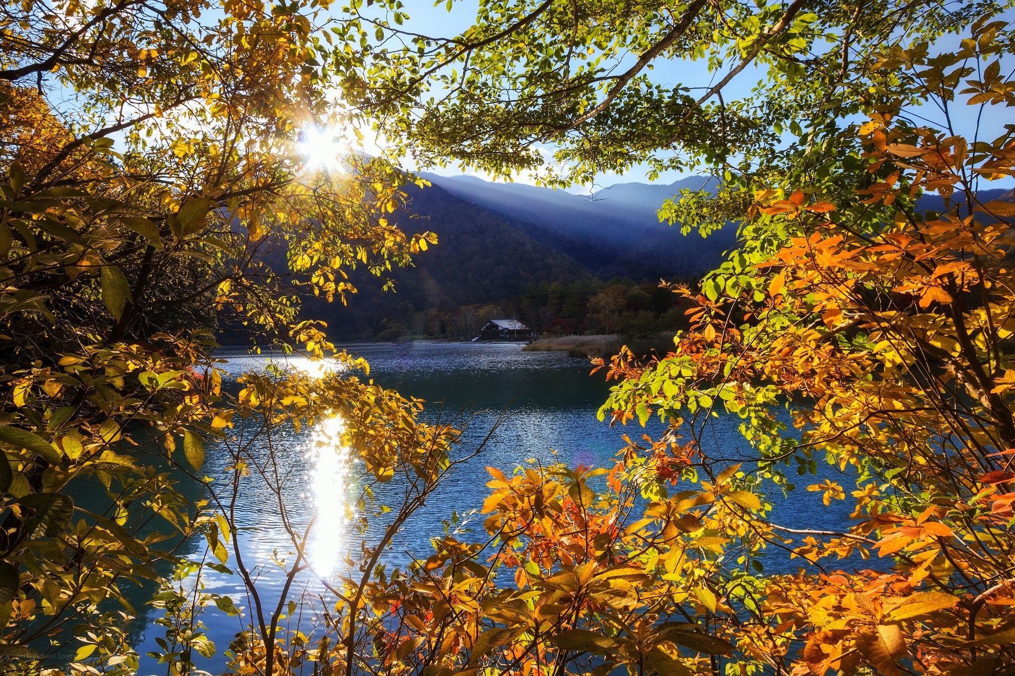 Autumn lake with sunlit trees
